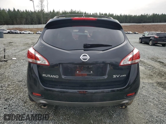 2013 Nissan Murano SV with VIN JN8AZ1MW0DW311207, listed as a Copart auction lot 44683965 with 115,766 mi miles and Salvage Title. Bid and sale history available at carsss.com. Image 6.