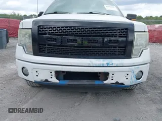 2013 Ford F-150 XL with VIN 1FTFX1CF8DFB27531, listed as a IAAI auction lot 42085935 with 180,287 mi miles and . Bid and sale history available at DreamBid. Image 6.
