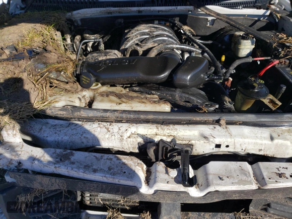 2006 Ford Explorer Eddie Bauer with VIN 1FMEU74866ZA01561, listed as a Copart auction lot 53548505 with Not provided miles and Non repairable. Bid and sale history available at DreamBid. Image 13.