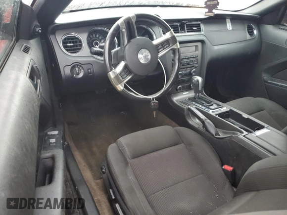 2014 Ford Mustang V6 with VIN 1ZVBP8EM9E5220341, listed as a Copart auction lot 51647565 with Not Provided miles and Clean Title. Bid and sale history available at carsss.com. Image 8.