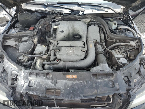 2013 Mercedes-Benz C 250 with VIN WDDGJ4HB7DG039616, listed as a Copart auction lot 55070365 with Not Provided miles and Salvage Title. Bid and sale history available at DreamBid. Image 11.