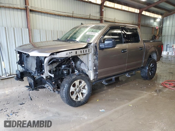2019 Ford F-150 XL with VIN 1FTEW1E50KFB37762, listed as a Copart auction lot 56536265 with 79,494 mi miles and Salvage title. Bid and sale history available at DreamBid. Image 1.