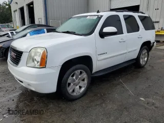 2009 GMC Yukon SLT w/4SB with VIN 1GKFC33069R152392, listed as a Copart auction lot 79858924 with 255,335 mi miles and Salvage Title. Bid and sale history available at carsss.com. Image 1.
