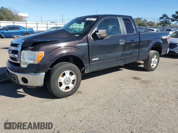2014 Ford F-150 XL with VIN 1FTFX1ET1EFB38231, listed as a Copart auction lot 49866275 with 175,404 mi miles and Salvage Title. Bid and sale history available at carsss.com. Image 1.