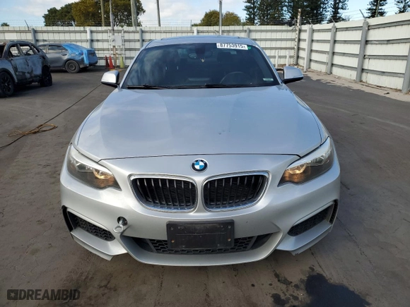 2016 BMW 2 Series 228i xDrive with VIN WBA1G9C53GV598459, listed as a Copart auction lot 87753915 with 109,657 mi miles and Salvage Title. Bid and sale history available at carsss.com. Image 5.