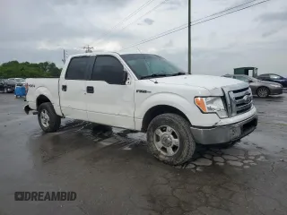 2009 Ford F-150 XL z VIN 1FTPW14V59KC72750, wystawiony jako Copart lot #54487105 z przebiegiem 242 321 mil mil oraz Szkoda całkowita • Salvage title. Historia ofert i sprzedaży dostępna na DreamBid. Obrazek 4.