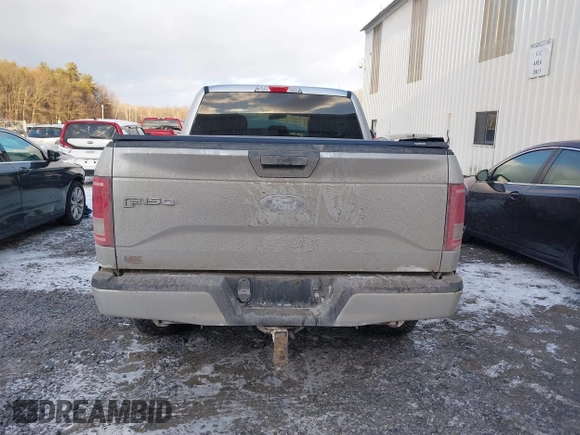 2017 Ford F-150 XL with VIN 1FTEX1EP3HFC28046, listed as a IAAI auction lot 41291572 with 149,668 mi miles. Bid and sale history available at carsss.com. Image 16.