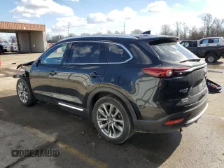 2017 Mazda CX-9 Signature with VIN JM3TCBEY3H0142750, listed as a Copart auction lot 44812375 with 116,479 mi miles and Salvage Title. Bid and sale history available at carsss.com. Image 2.