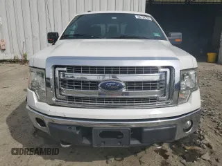 2013 Ford F-150 XL with VIN 1FTFW1EF9DKE66144, listed as a Copart auction lot 58134795 with 150,726 mi miles and Salvage title. Bid and sale history available at DreamBid. Image 5.