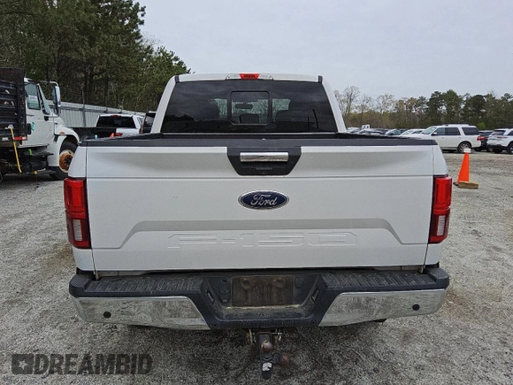 2019 Ford F-150 XL with VIN 1FTEW1E57KFB00501, listed as a Copart auction lot 49469185 with 251,210 mi miles and Clean Title. Bid and sale history available at carsss.com. Image 6.