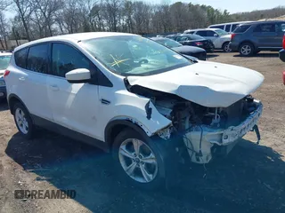 2013 Ford Escape SE with VIN 1FMCU9GX6DUA61596, listed as a IAAI auction lot 41924999 with Not Provided miles and . Bid and sale history available at DreamBid. Image 1.