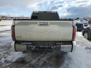 2022 Toyota Tundra 1794 Edition with VIN 5TFMA5DB8NX045547, listed as a Copart auction lot 42543985 with 39,256 mi miles and Clean title. Bid and sale history available at DreamBid. Image 6.