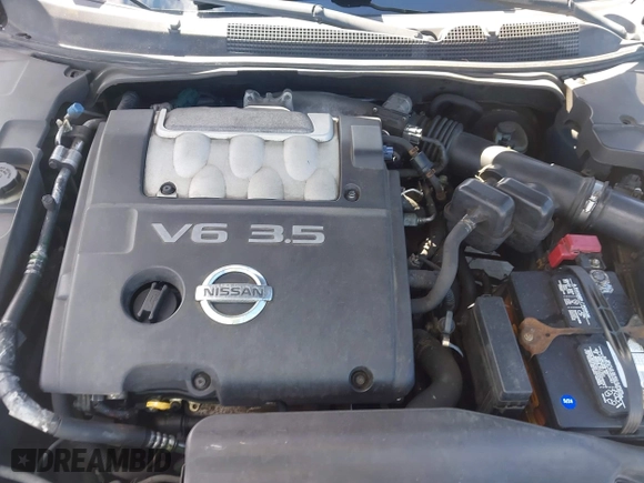 2004 Nissan Maxima SL with VIN 1N4BA41E64C861846, listed as a IAAI auction lot 41911687 with 218,668 mi miles. Bid and sale history available at carsss.com. Image 10.