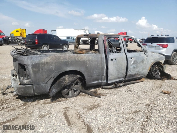 2010 Dodge Ram 1500 SLT with VIN 1D7RB1GT7AS120462, listed as a Copart auction lot 56834334 with 0 mi miles and Non Repairable. Bid and sale history available at carsss.com. Image 3.