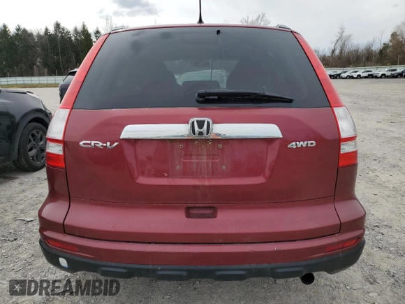 2010 Honda CR-V EX with VIN 5J6RE4H55AL046045, listed as a Copart auction lot 51945395 with 183,821 mi miles and Salvage Title. Bid and sale history available at carsss.com. Image 6.