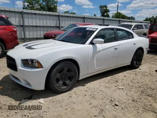 2013 Dodge Charger Police with VIN 2C3CDXAT6DH713560, listed as a Copart auction lot 65058885 with 168,073 mi miles and Clean title. Bid and sale history available at DreamBid. Image 1.