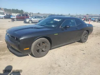 2011 Dodge Challenger with VIN 2B3CJ4DG3BH566047, listed as a Copart auction lot 48919605 with 75,355 mi miles and Clean Title. Bid and sale history available at carsss.com. Image 1.