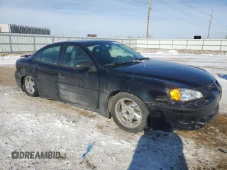 2002 Pontiac Grand Am GT1 with VIN 1G2NV52E22M728965, listed as a Copart auction lot 46291005 with 132,345 mi miles and Salvage Title. Bid and sale history available at carsss.com. Image 4.