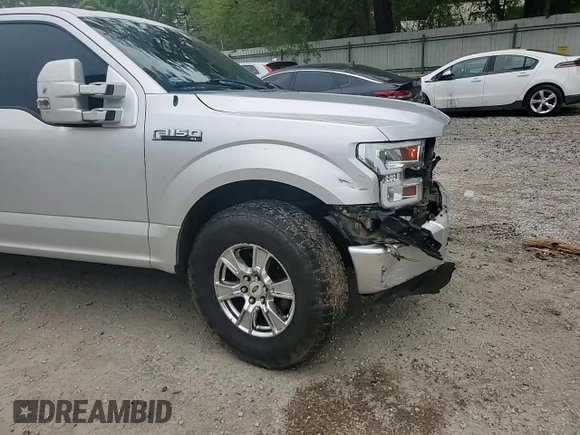 2017 Ford F-150 XL with VIN 1FTEX1CF7HKC87926, listed as a Copart auction lot 51379525 with 184,555 mi miles and Salvage title. Bid and sale history available at DreamBid. Image 10.