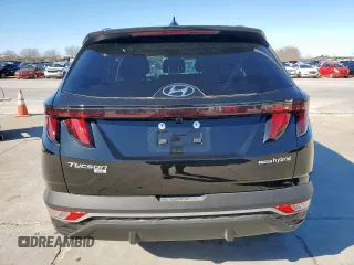 2024 Hyundai Tucson Blue with VIN KM8JBCD18RU167310, listed as a Copart auction lot 48020855 with 18,117 mi miles and Clean Title. Bid and sale history available at carsss.com. Image 6.