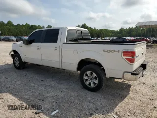 2013 Ford F-150 XL with VIN 1FTFW1ET4DFC54797, listed as a Copart auction lot 59902635 with 168,290 mi miles and Salvage title. Bid and sale history available at DreamBid. Image 2.
