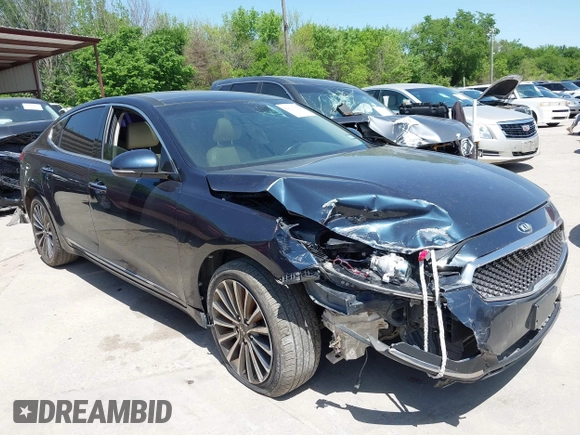 2017 Kia Cadenza Premium with VIN KNALC4J14H5041469, listed as a IAAI auction lot 42021353 with 127,081 mi miles. Bid and sale history available at carsss.com. Image 13.