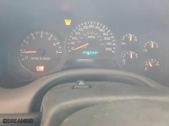 2003 Chevrolet TrailBlazer LS with VIN 1GNDS13S532223228, listed as a Copart auction lot 54373014 with 0 mi miles and Salvage Title. Bid and sale history available at carsss.com. Image 9.