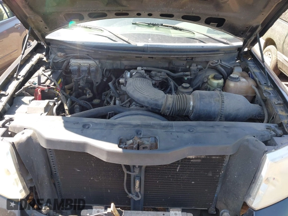 2005 Ford F-150 STX with VIN 1FTRX12W45NA14729, listed as a IAAI auction lot 42344288 with 282,558 mi miles and . Bid and sale history available at DreamBid. Image 10.
