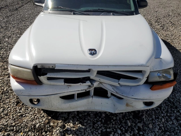 1999 Dodge Durango z VIN 1B4HS28Z6XF649205, wystawiony jako Copart lot #57683305 z przebiegiem 111 561 mil mil oraz Szkoda całkowita • Salvage title. Historia ofert i sprzedaży dostępna na DreamBid. Obrazek 11.