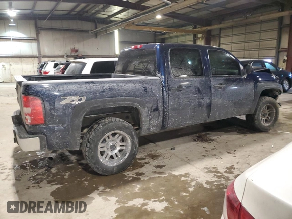 2010 Chevrolet Silverado 1500 LT with VIN 3GCRKSE3XAG266154, listed as a Copart auction lot 46147335 with 117,554 mi miles and Salvage Title. Bid and sale history available at DreamBid. Image 3.