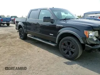 2011 Ford F-150 XLT with VIN 1FTFW1ET6BFC56273, listed as a Copart auction lot 60679755 with 136,912 mi miles and Salvage title. Bid and sale history available at DreamBid. Image 13.