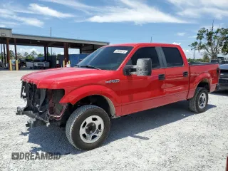 2009 Ford F-150 XL with VIN 1FTRW12829FB16809, listed as a Copart auction lot 59898015 with 224,669 mi miles and Salvage title. Bid and sale history available at DreamBid. Image 1.