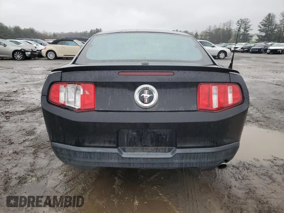 2010 Ford Mustang V6 with VIN 1ZVBP8AN3A5112855, listed as a Copart auction lot 49824275 with 161,778 mi miles and Salvage Title. Bid and sale history available at DreamBid. Image 6.