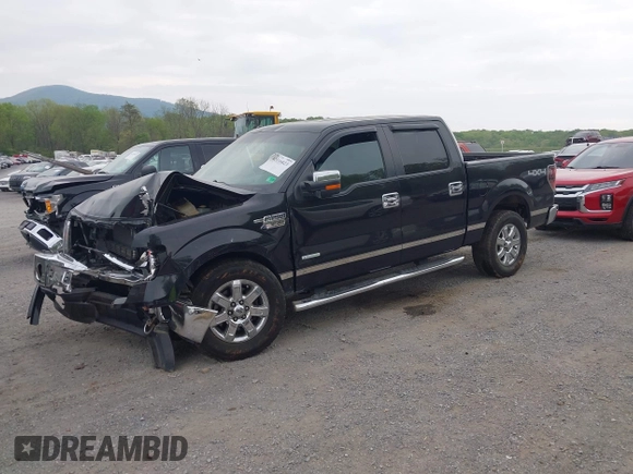 2013 Ford F-150 XL z VIN 1FTFW1ET9DKG38355, wystawiony jako IAAI lot #42116823 z przebiegiem 178 653 mil mil oraz . Historia ofert i sprzedaży dostępna na DreamBid. Obrazek 2.
