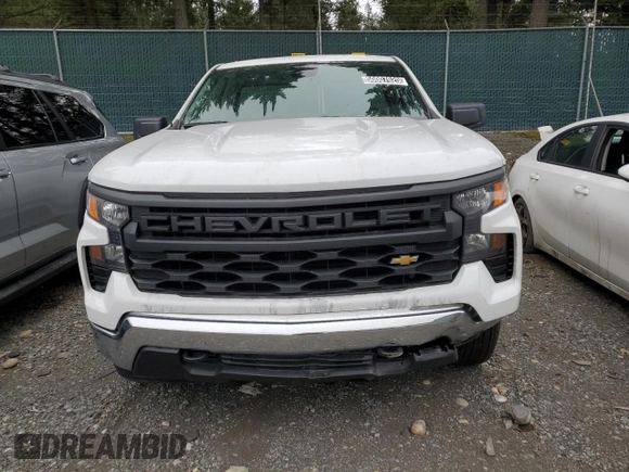 2024 Chevrolet Silverado 1500 Work Truck with VIN 3GCNAAED5RG357087, listed as a Copart auction lot 50007625 with 0 mi miles and Salvage Title. Bid and sale history available at carsss.com. Image 5.