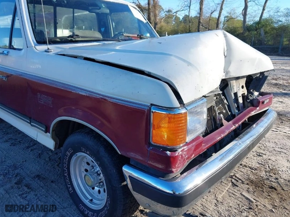 1991 Ford 1/2 Ton Trucks with VIN 1FTDF15N2MNB19803, listed as a IAAI auction lot 41798114 with 178,573 mi miles. Bid and sale history available at carsss.com. Image 14.