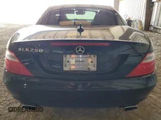 2014 Mercedes-Benz SLK-Class SLK 250 with VIN WDDPK4HA2EF082644, listed as a Copart auction lot 80688003 with 149,220 mi miles and Salvage Title. Bid and sale history available at carsss.com. Image 6.