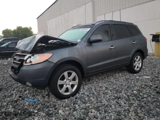 2009 Hyundai Santa Fe SE with VIN 5NMSH13E99H250171, listed as a Copart auction lot 49879515 with 162,030 mi miles and Salvage Title. Bid and sale history available at carsss.com. Image 1.
