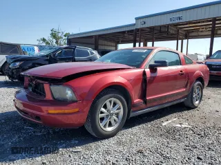 2006 Ford Mustang Standard with VIN 1ZVFT80N065118604, listed as a Copart auction lot 51968605 with 49,175 mi miles and Salvage Title. Bid and sale history available at carsss.com. Image 1.