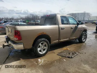 2010 Dodge 1500 TRX with VIN 1D7RV1GTXAS163264, listed as a Copart auction lot 50192525 with 283,740 mi miles and Salvage Title. Bid and sale history available at carsss.com. Image 3.