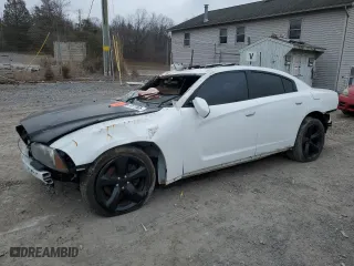 2013 Dodge Charger RT Max with VIN 2C3CDXCT1DH744616, listed as a Copart auction lot 49173565 with 127,644 mi miles and Salvage Title. Bid and sale history available at carsss.com. Image 1.
