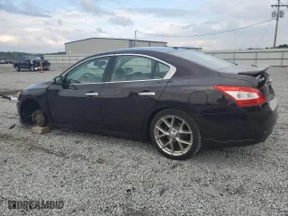 2010 Nissan Maxima 3.5 SV w/Sport Pkg with VIN 1N4AA5AP2AC874477, listed as a Copart auction lot 72167404 with 99,146 mi miles and Salvage Title. Bid and sale history available at carsss.com. Image 2.