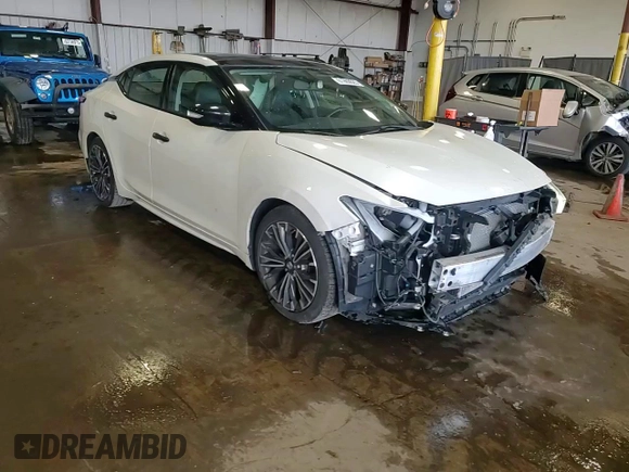 2017 Nissan Maxima SV with VIN 1N4AA6AP9HC394789, listed as a Copart auction lot 61909625 with 102,164 mi miles and Salvage title. Bid and sale history available at DreamBid. Image 14.