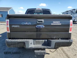 2010 Ford F-150 XL with VIN 1FTEX1E89AFB69003, listed as a Copart auction lot 50552935 with 132,374 mi miles and Clean Title. Bid and sale history available at carsss.com. Image 6.