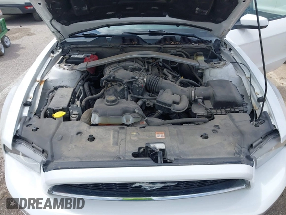 2014 Ford Mustang V6 with VIN 1ZVBP8EM2E5220391, listed as a IAAI auction lot 42160616 with 178,080 mi miles and . Bid and sale history available at DreamBid. Image 10.