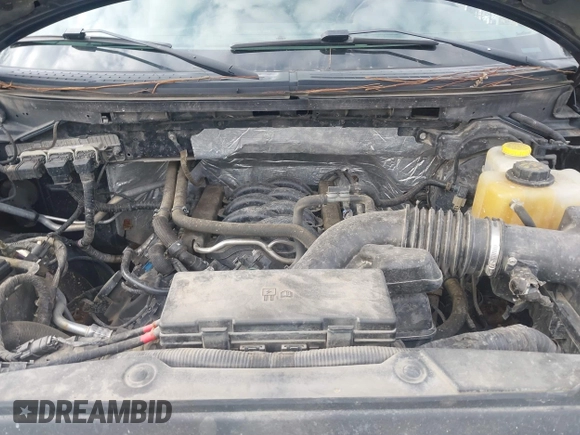 2014 Ford F-150 XL with VIN 1FTFW1EFXEFC89999, listed as a IAAI auction lot 41491284 with 98,569 mi miles. Bid and sale history available at carsss.com. Image 10.