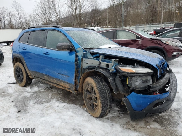 2018 Jeep Cherokee Trailhawk with VIN 1C4PJMBX5JD548695, listed as a Copart auction lot 41658465 with 123,808 mi miles and Salvage Title. Bid and sale history available at carsss.com. Image 4.