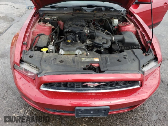 2013 Ford Mustang V6 with VIN 1ZVBP8AM6D5271610, listed as a Copart auction lot 50875295 with 220,833 mi miles and Salvage Title. Bid and sale history available at carsss.com. Image 11.