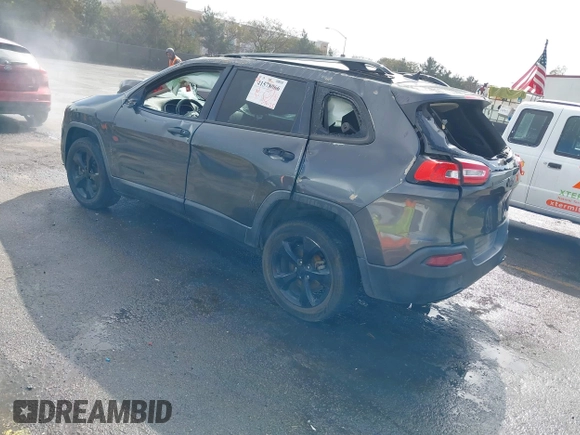2017 Jeep Cherokee Sport with VIN 1C4PJLAB8HW527354, listed as a IAAI auction lot 41578066 with 124,339 mi miles. Bid and sale history available at carsss.com. Image 3.