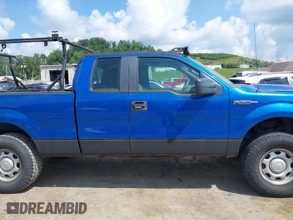 2010 Ford F-150 XL with VIN 1FTEX1E81AFC69211, listed as a IAAI auction lot 42678267 with 174,127 mi miles and . Bid and sale history available at DreamBid. Image 12.